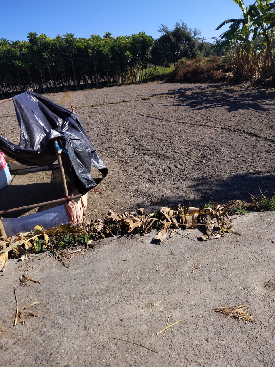 14.5 Decimal Registered Land for Sale Near Samuktala Road Station | Low Price Deal